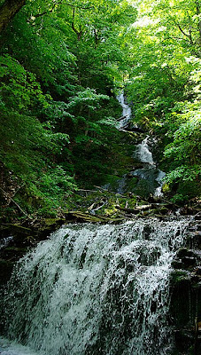 Twin Cascade waterfall