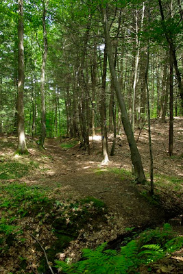 Trail in Joseph Allen Skinner State Park