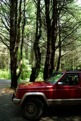 My Jeep Cherokee with 170,000 miles on it in front of some twisted trees at the Half Moon Pond State Park Campground in Vermont