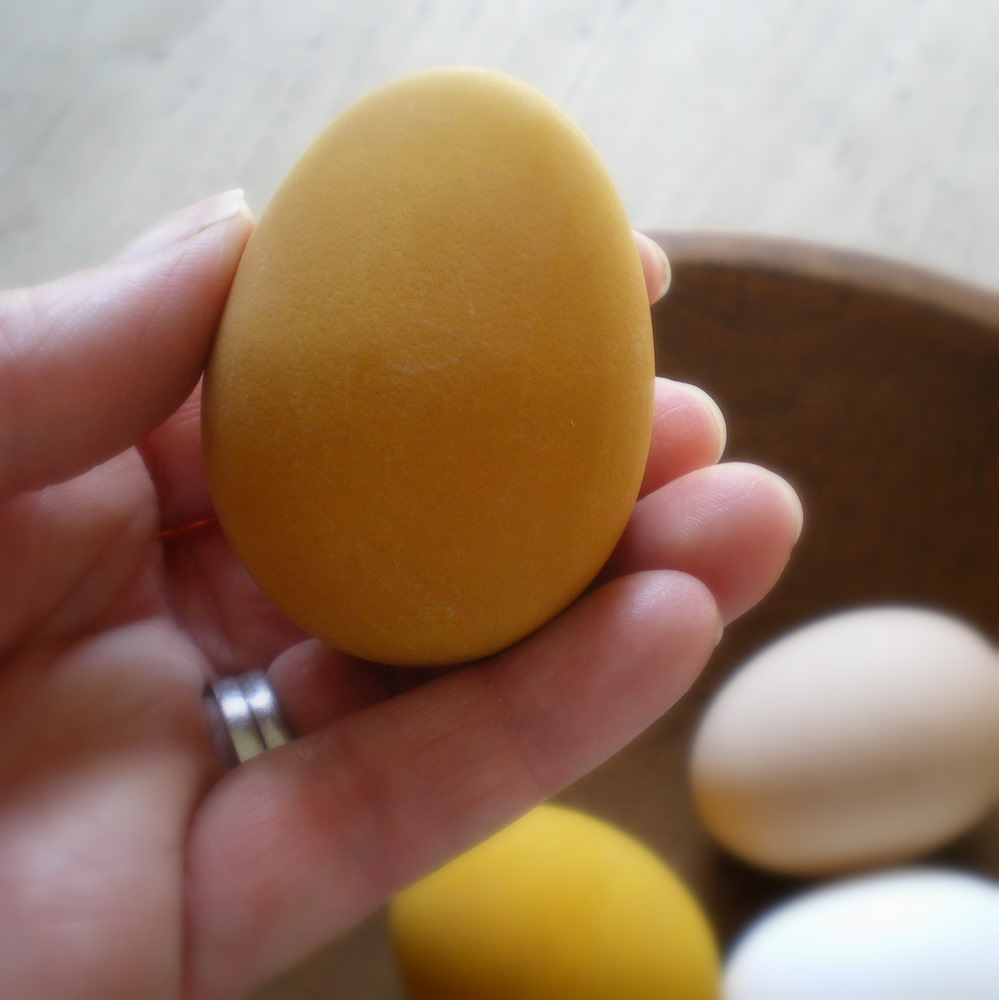 lil fish studios Golden Eggs Dyeing Eggs With Turmeric