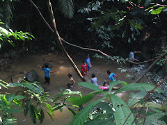 video panjatakarpokok takamelor