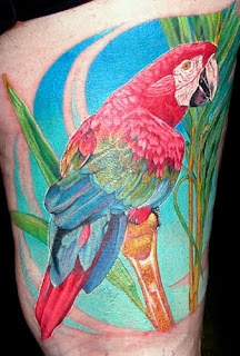 parrot tattoo design on body