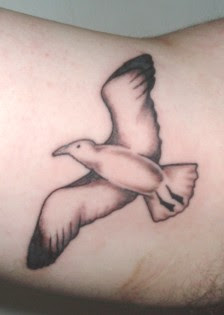 seagull tattoo for body