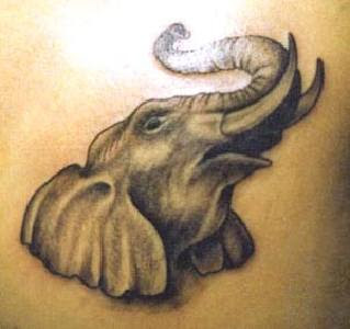 tribal elephant tattoos