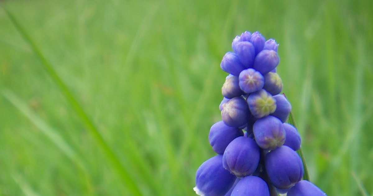 facebook single word name