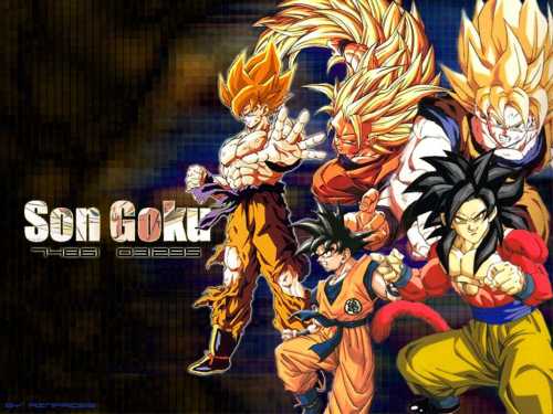 Dragonball Z Wallpaper at800 dragonball z wallpaper. Dragonball Z Wallpaper at800