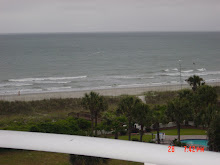 Condo View