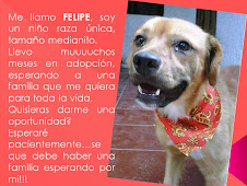 EN ADOPCION