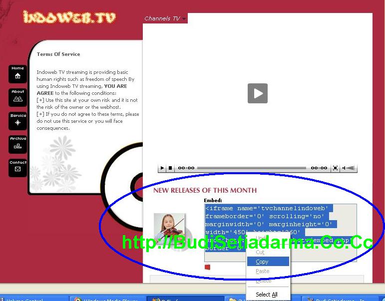 [Budi+Setiadarma+-+Indoweb.JPG]