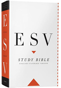 ESVSB Online