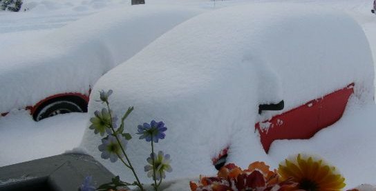 [Snowack+058+cropped.jpg]
