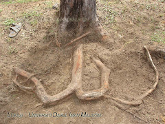 Akar Pokok Aqidah Mukmin