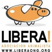 LIBERA! Asociación Animalista