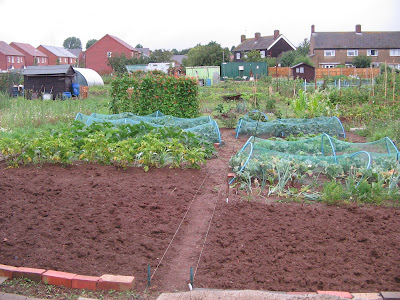 Overview of allotment