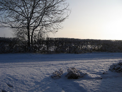 snow scene