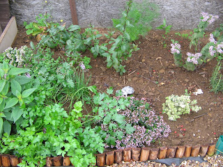 herb patch