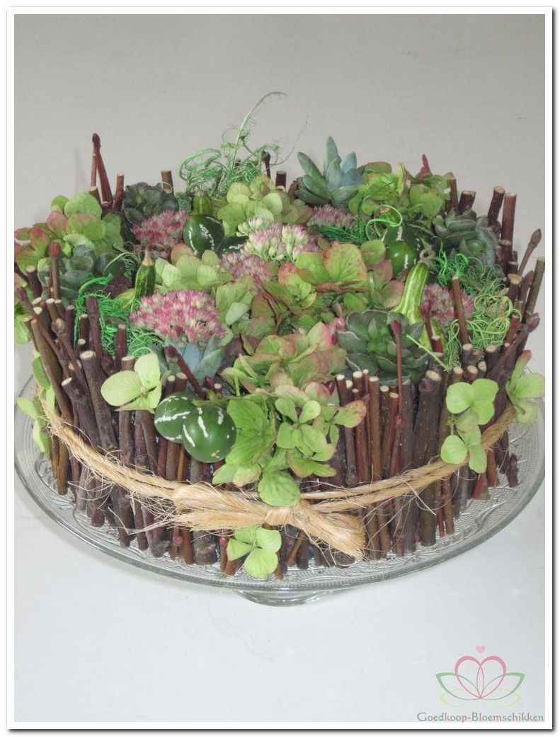 1000 images about groendecoraties on pinterest