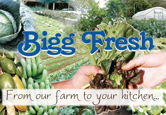 Bigg Fresh Farm