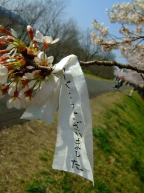 [DSCF7667.JPG]