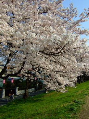 [DSCF7669.JPG]
