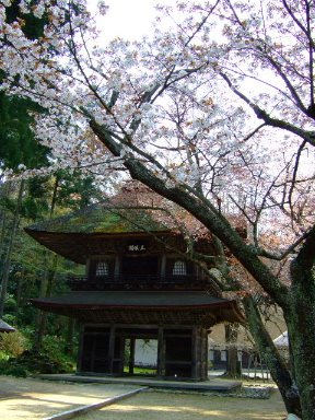[DSCF7709.JPG]