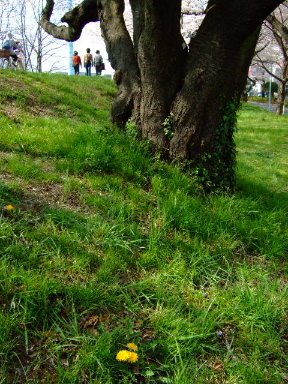 [DSCF7605.JPG]