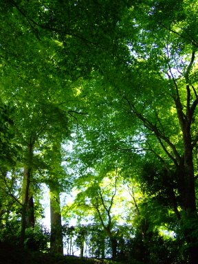 [DSCF8048.JPG]