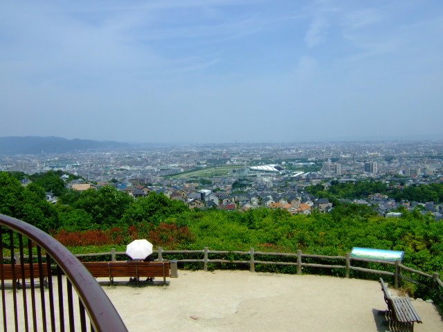 [DSCF8495.JPG]
