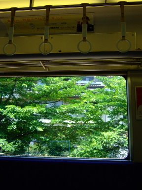 [a485927d61de03d7a0a894ff3e7520ba.jpg]