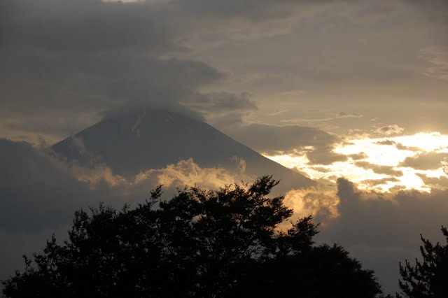 [DSC_0293.JPG]