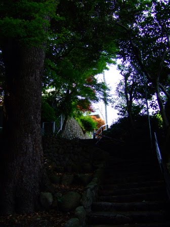 [DSCF8549.JPG]