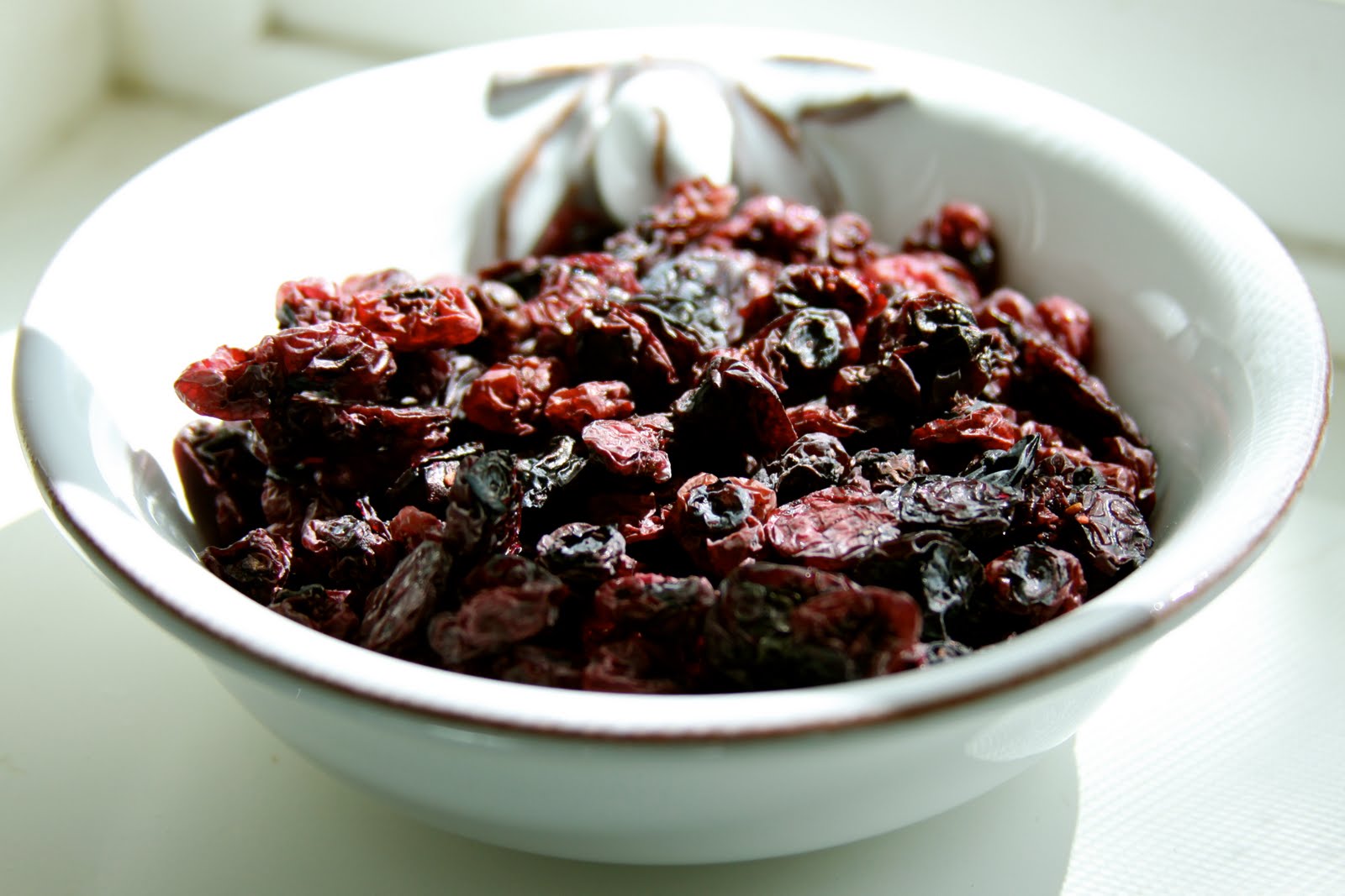 Homestead Revival Dehydrating Blueberries