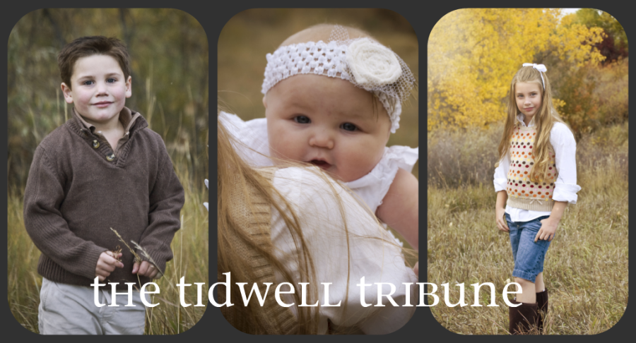 the tidwell tribune