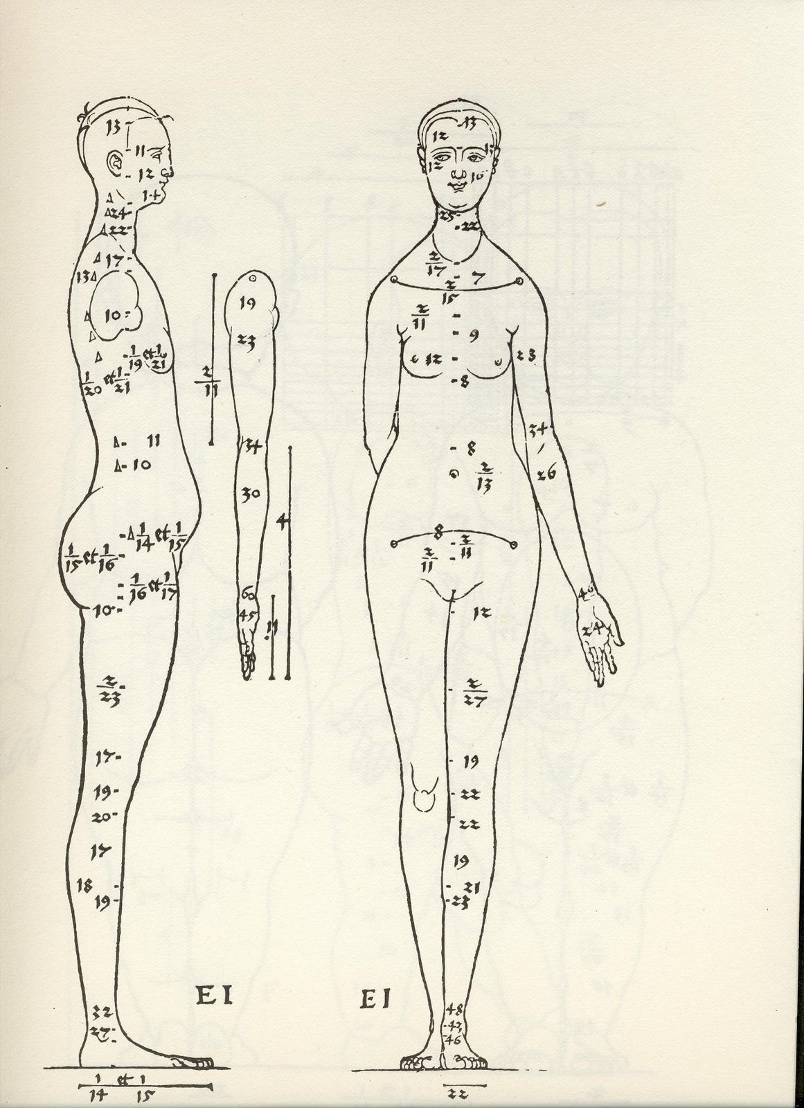 [durerScan10026-s.JPG]