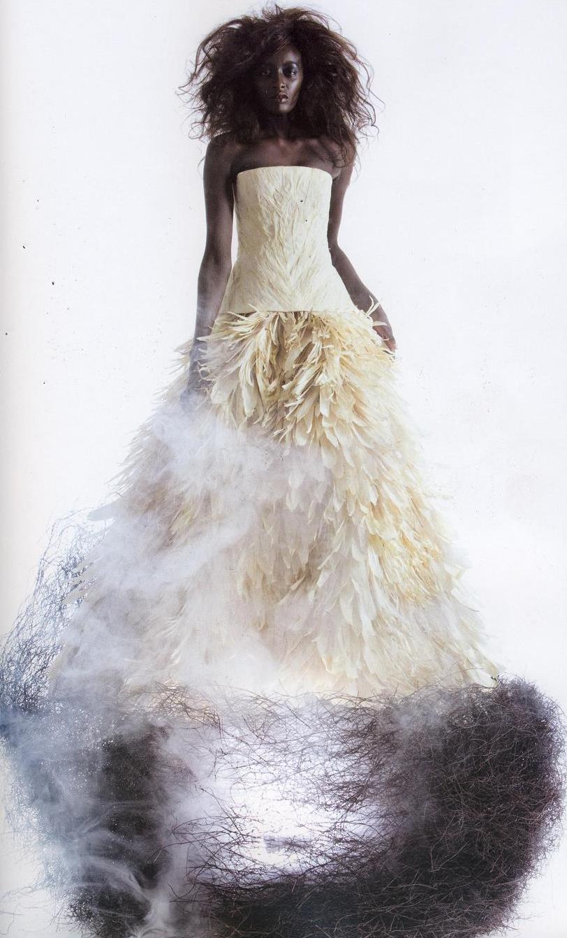 [fg-smallScan10016.JPG]