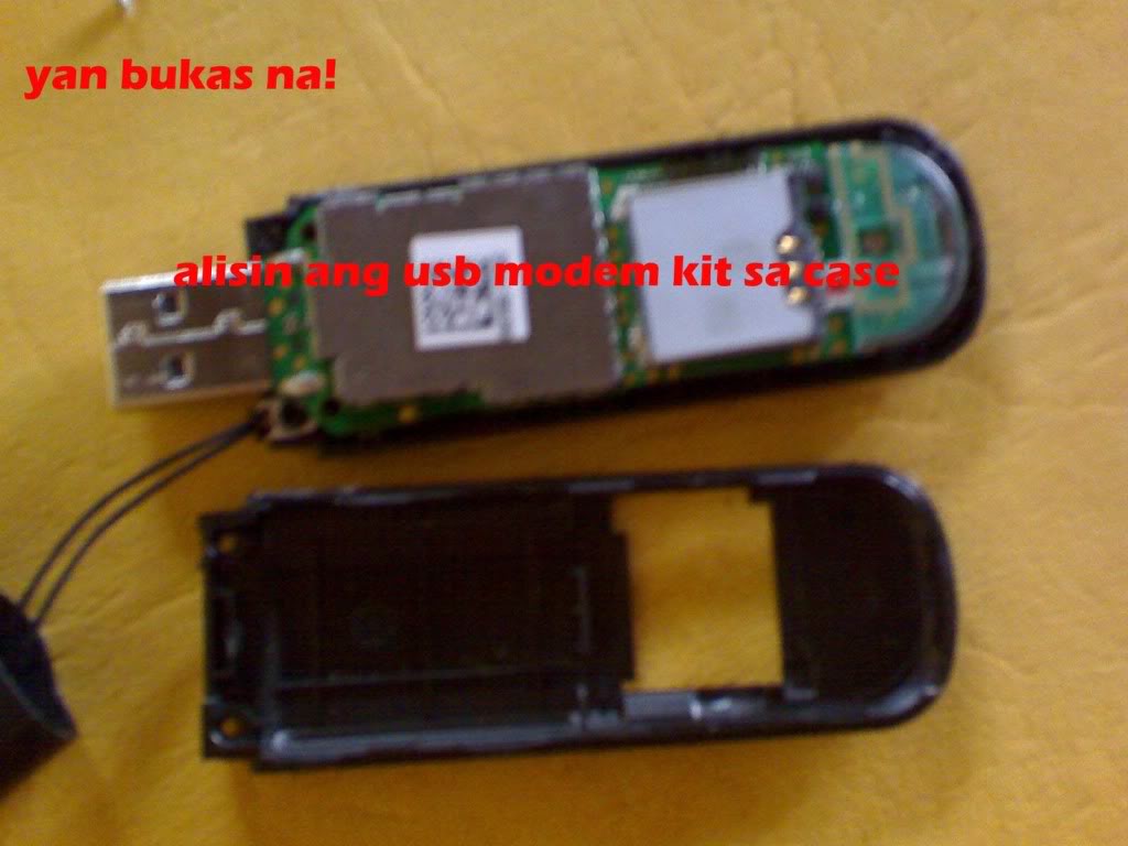 Globe Tattoo Antenna