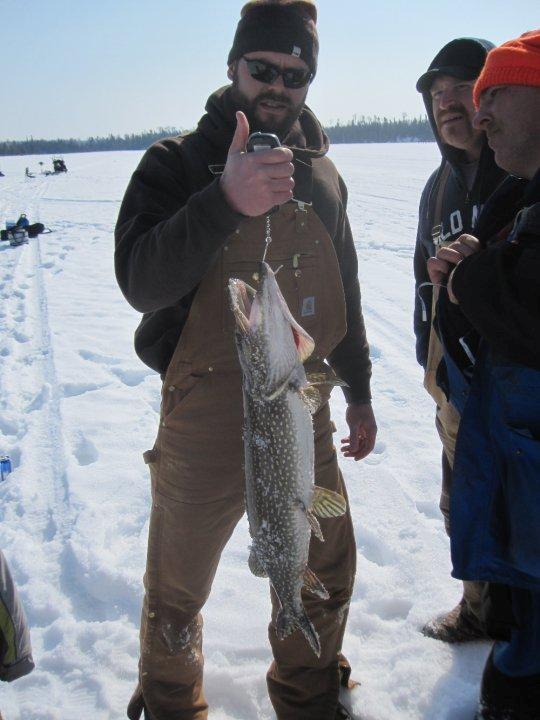 Nice winter pike