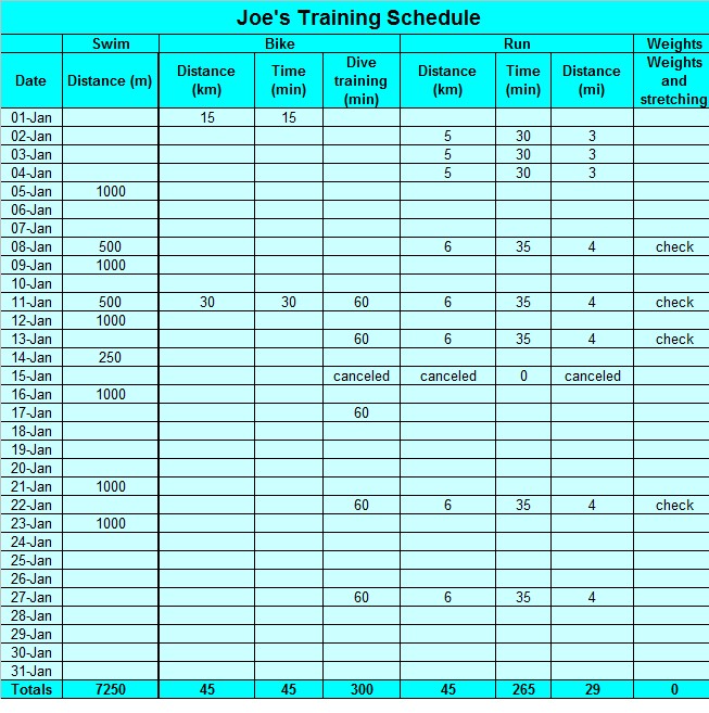 [Joes+training+log+Jan+2009.jpg]