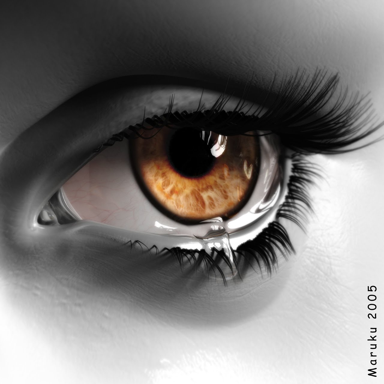 [untitled.bmp]