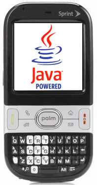 [palm_java.jpg]