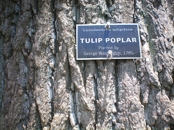 Tree Planted by George himself~