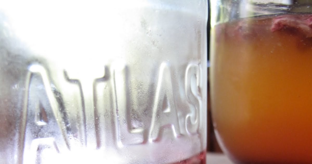 The Quince and the Quail Kombucha cocktails