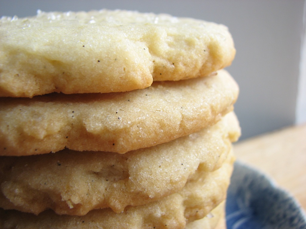 Heidi Bakes Vanilla Bean Sugar Cookies