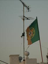 [imagedownload.aspx.jpeg]