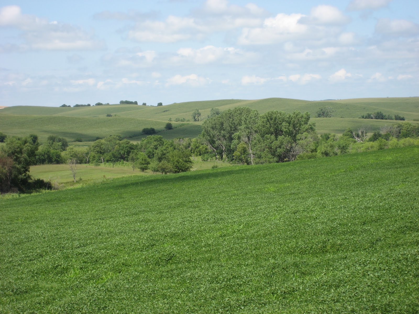 Geography of Nebraska Chapter 12 The Great Plains and Praries