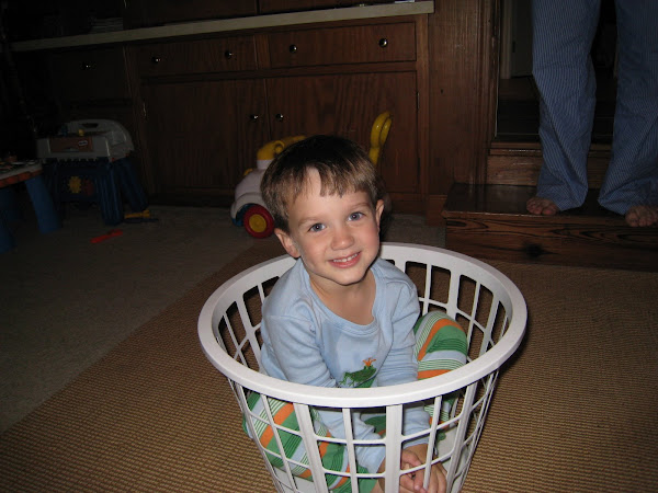 Basket Boy