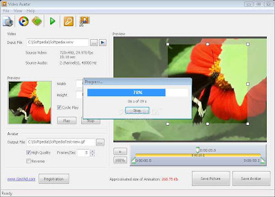Video Avatar v3.0.0.95