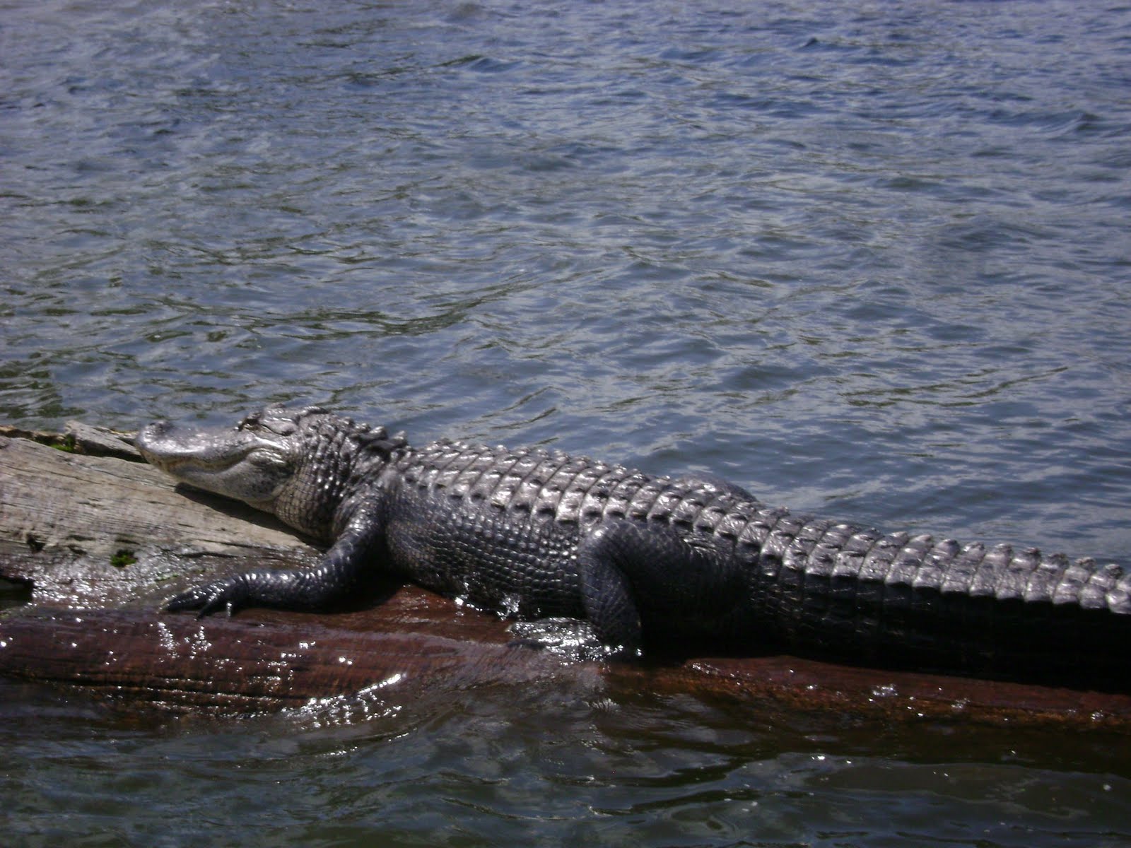 www rencontre lespac com