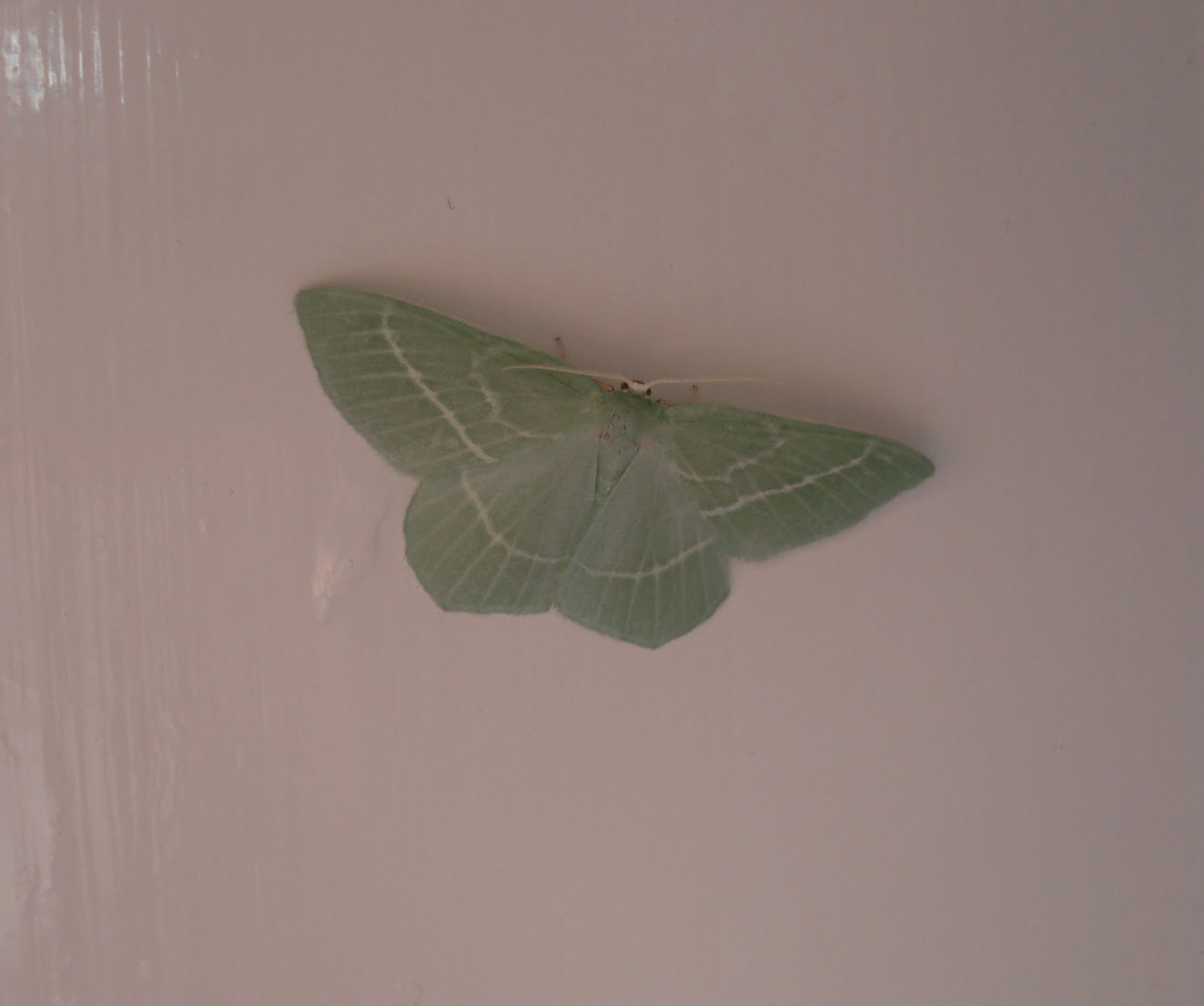 [126+of+365.+09.07.09.JPG]