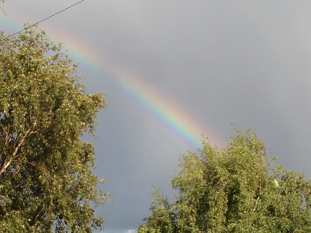 [DSC01771.JPG]